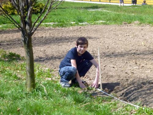 Práce na pozemku, pěstování dubů, sázení keřů