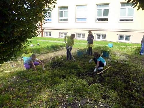 6. třída na pozemku