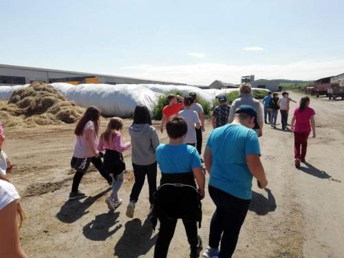 4.třída v ZD Dřevohostice u telátek