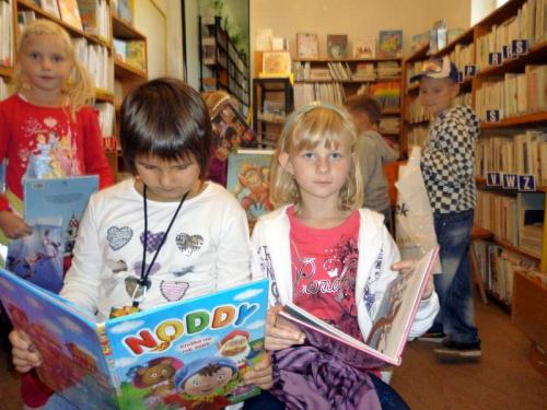 Návštěvy knihovny