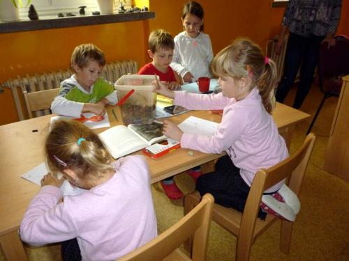 Kino - Kuky se vrací