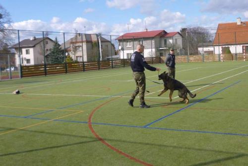 Ukázka výcviku psů