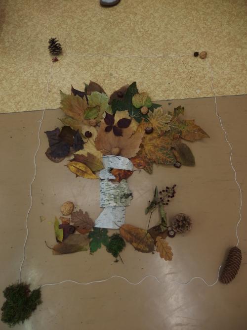 Přírodověda - Les